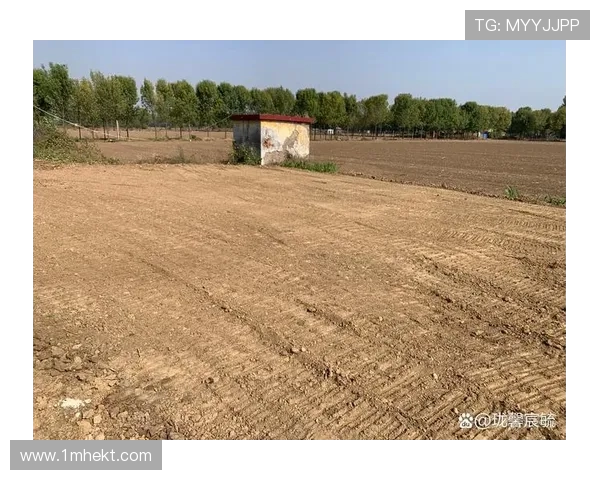 挖掘机精准平整土地秘诀