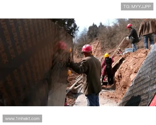 挖掘机烈士陵园环境美化工程